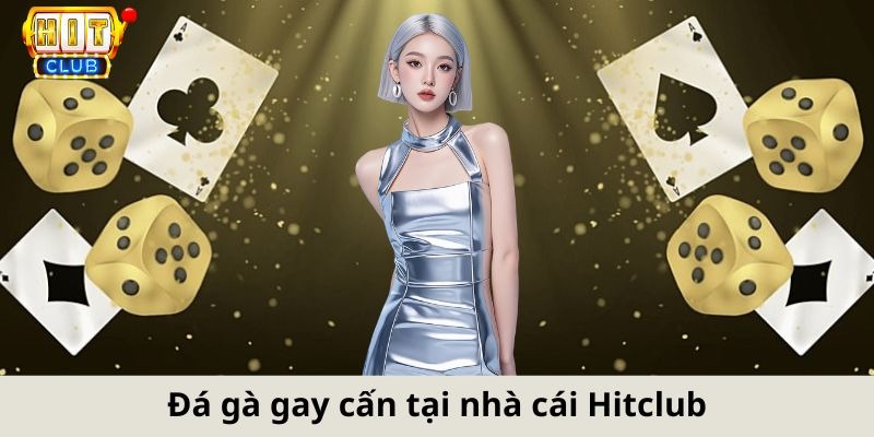 Trò chơi đá gà Hitclub gay cấn, mang lại lợi nhuận siêu khủng